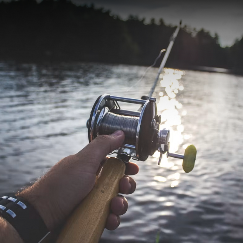 Pesca y buceo